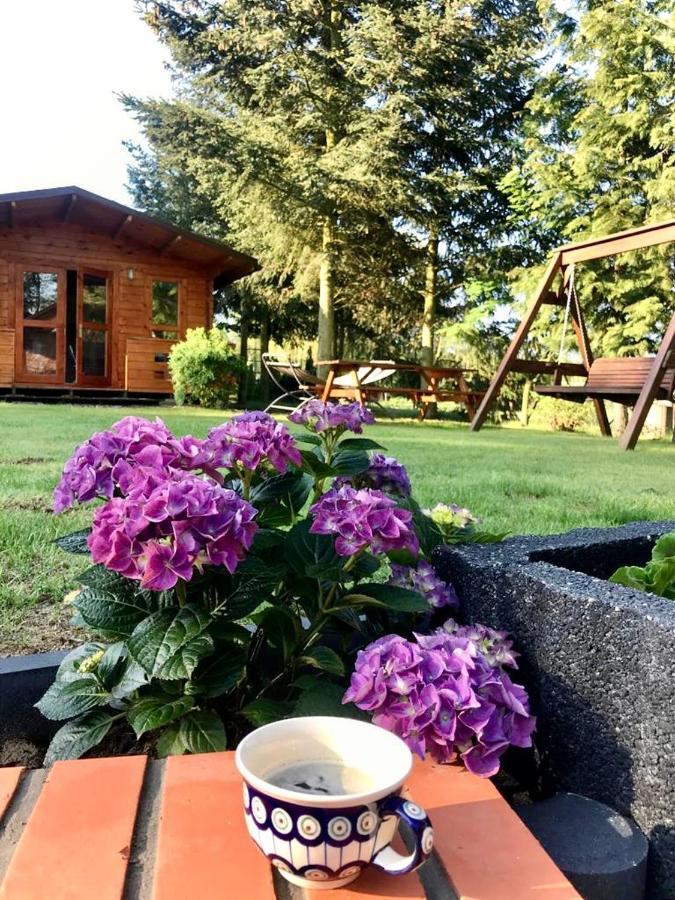 Osada Laskowo, Osrodek Laskowo Domki Nad Jeziorem Extérieur photo